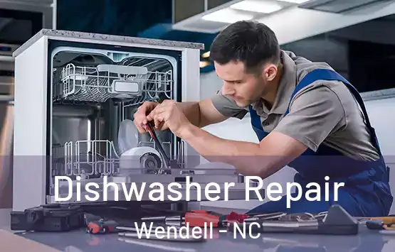  Dishwasher Repair Wendell - NC