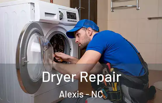  Dryer Repair Alexis - NC