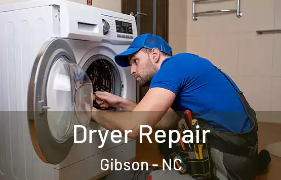  Dryer Repair Gibson - NC