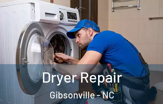  Dryer Repair Gibsonville - NC