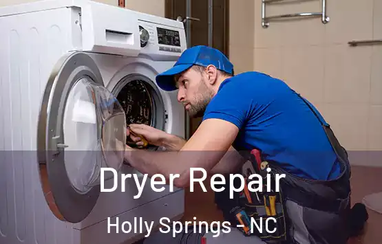  Dryer Repair Holly Springs - NC