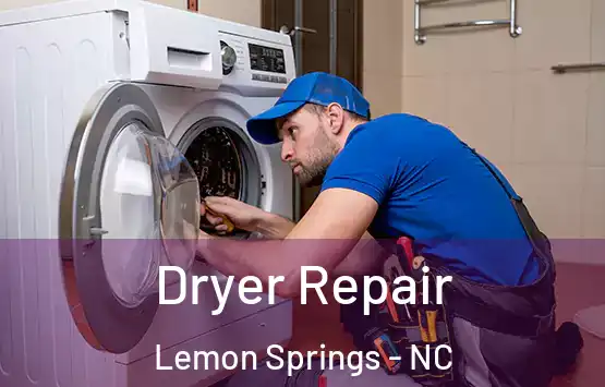  Dryer Repair Lemon Springs - NC