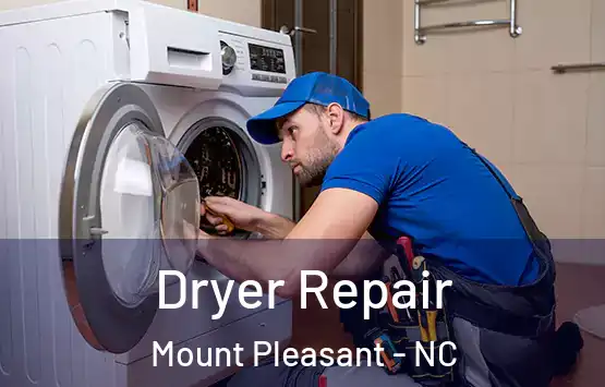  Dryer Repair Mount Pleasant - NC