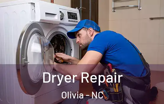  Dryer Repair Olivia - NC