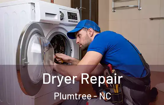 Dryer Repair Plumtree - NC