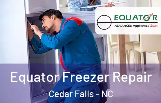  Equator Freezer Repair Cedar Falls - NC