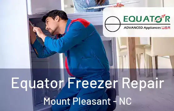  Equator Freezer Repair Mount Pleasant - NC