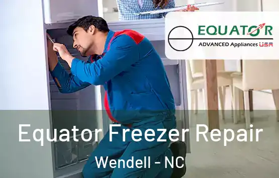  Equator Freezer Repair Wendell - NC
