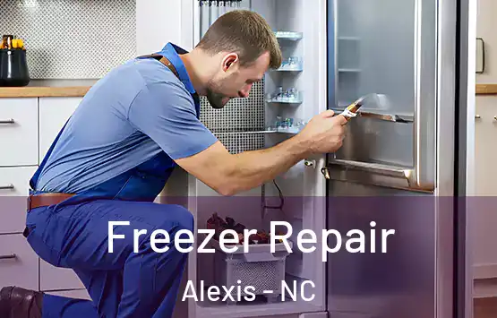 Freezer Repair Alexis - NC