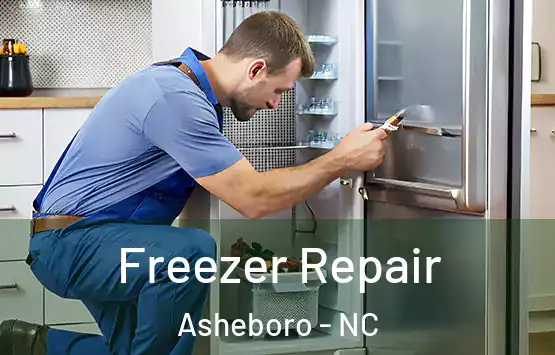  Freezer Repair Asheboro - NC