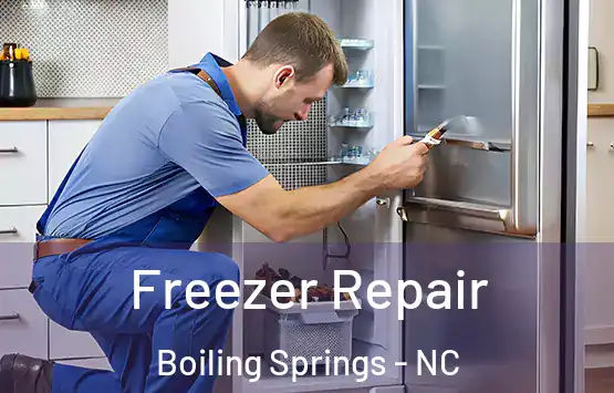  Freezer Repair Boiling Springs - NC