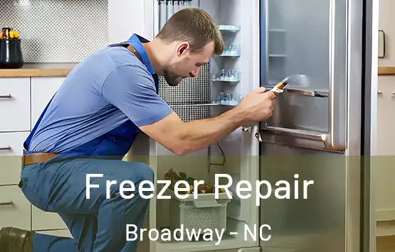  Freezer Repair Broadway - NC