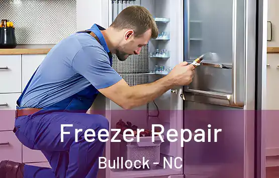  Freezer Repair Bullock - NC