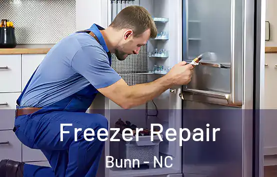  Freezer Repair Bunn - NC
