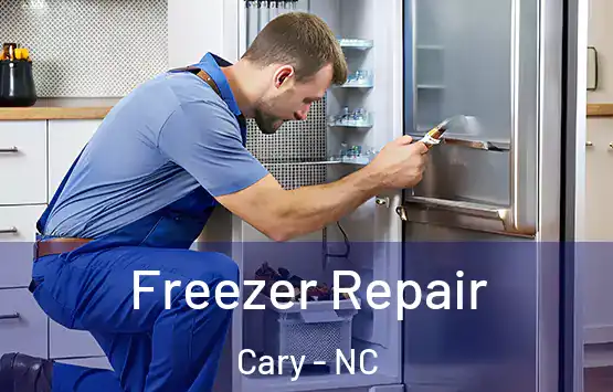  Freezer Repair Cary - NC