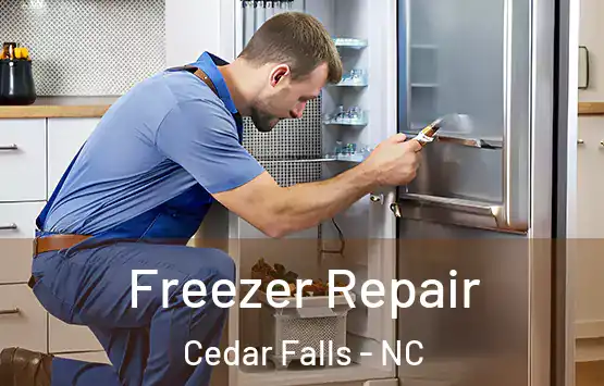  Freezer Repair Cedar Falls - NC