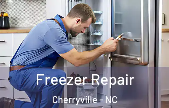  Freezer Repair Cherryville - NC