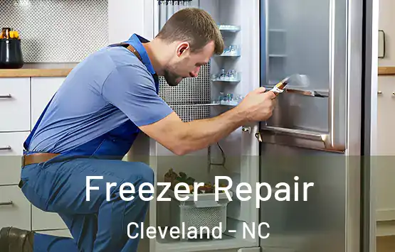  Freezer Repair Cleveland - NC