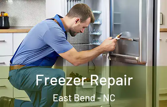  Freezer Repair East Bend - NC