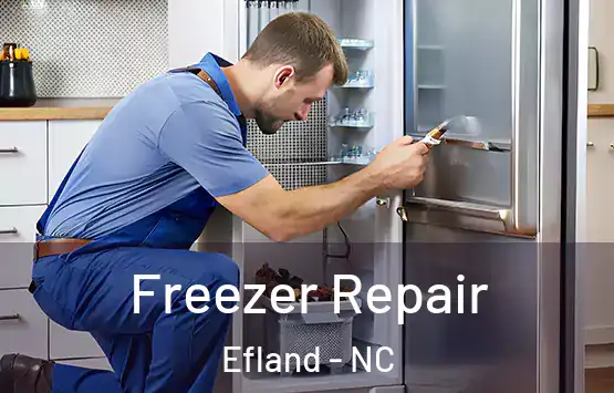  Freezer Repair Efland - NC