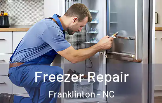  Freezer Repair Franklinton - NC