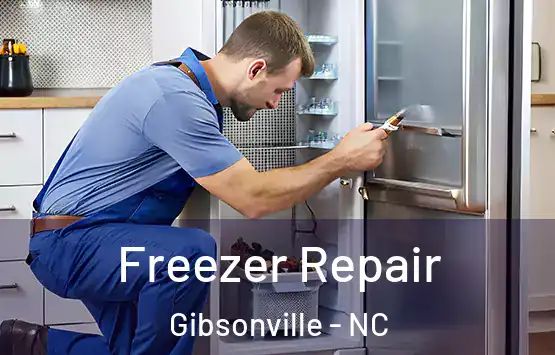  Freezer Repair Gibsonville - NC