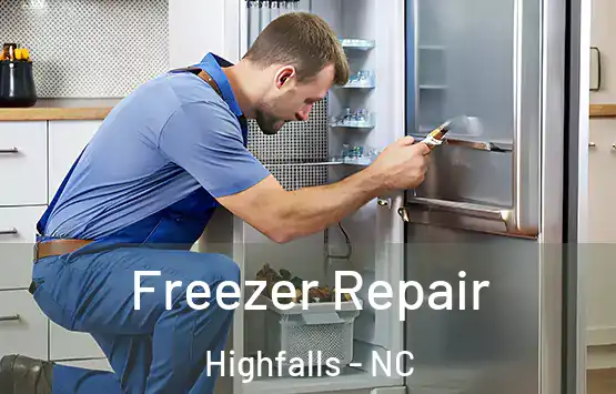  Freezer Repair Highfalls - NC