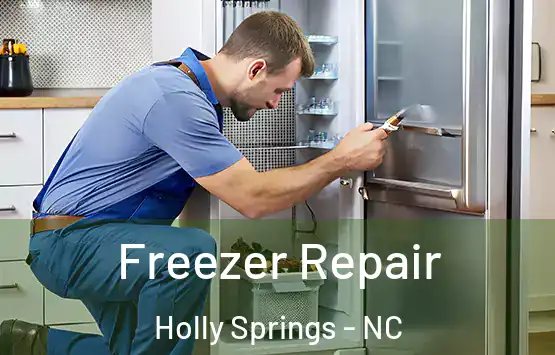  Freezer Repair Holly Springs - NC