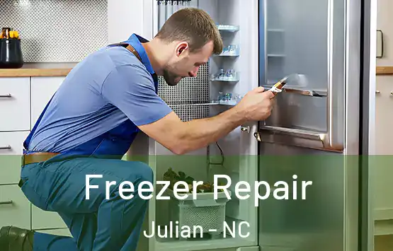  Freezer Repair Julian - NC