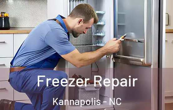  Freezer Repair Kannapolis - NC