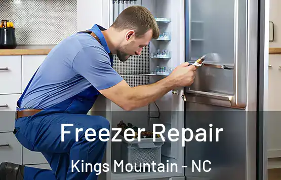  Freezer Repair Kings Mountain - NC
