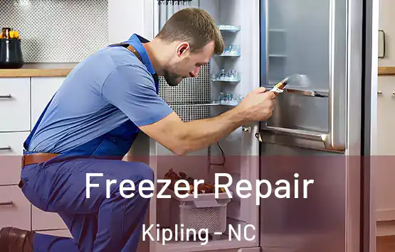  Freezer Repair Kipling - NC