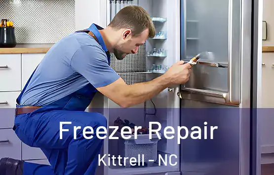  Freezer Repair Kittrell - NC
