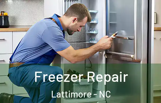  Freezer Repair Lattimore - NC