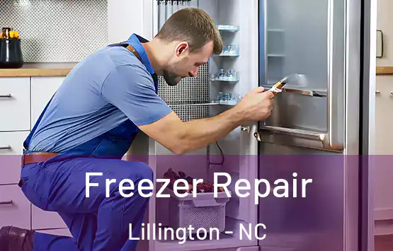  Freezer Repair Lillington - NC