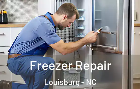  Freezer Repair Louisburg - NC