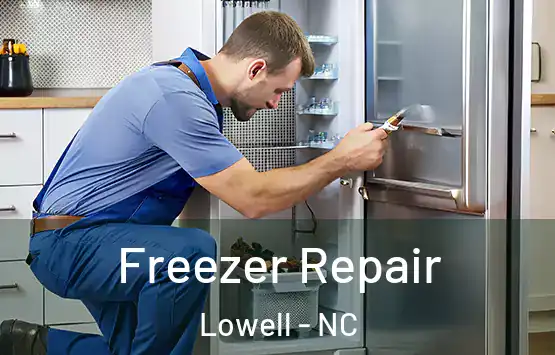  Freezer Repair Lowell - NC
