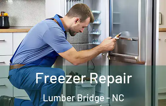  Freezer Repair Lumber Bridge - NC