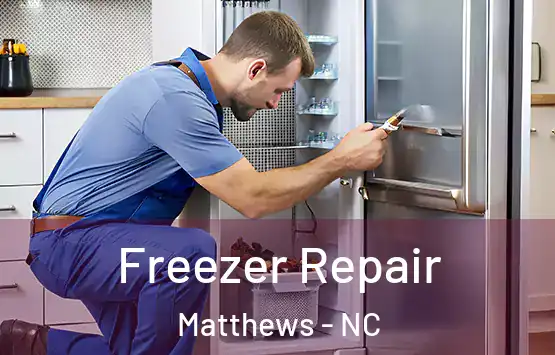  Freezer Repair Matthews - NC