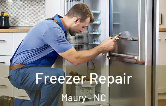  Freezer Repair Maury - NC