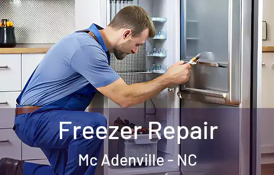  Freezer Repair Mc Adenville - NC
