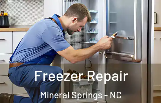  Freezer Repair Mineral Springs - NC