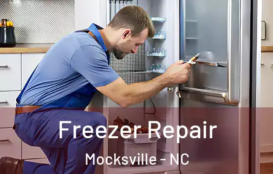  Freezer Repair Mocksville - NC