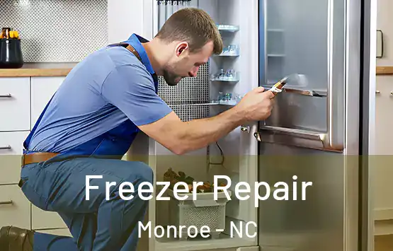  Freezer Repair Monroe - NC