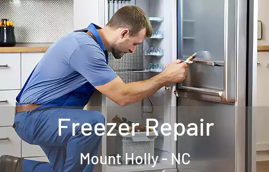  Freezer Repair Mount Holly - NC