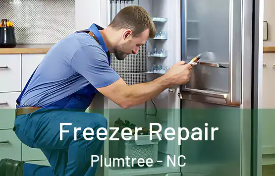  Freezer Repair Plumtree - NC