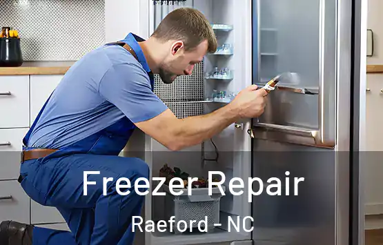  Freezer Repair Raeford - NC