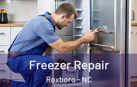  Freezer Repair Roxboro - NC