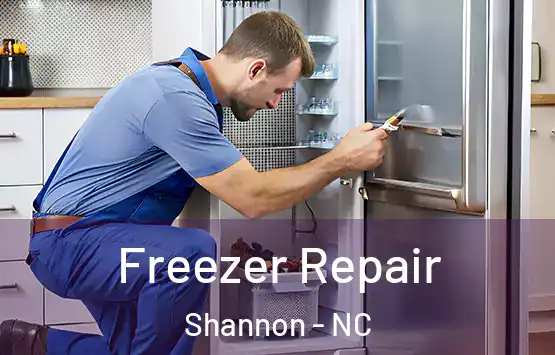  Freezer Repair Shannon - NC
