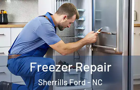  Freezer Repair Sherrills Ford - NC